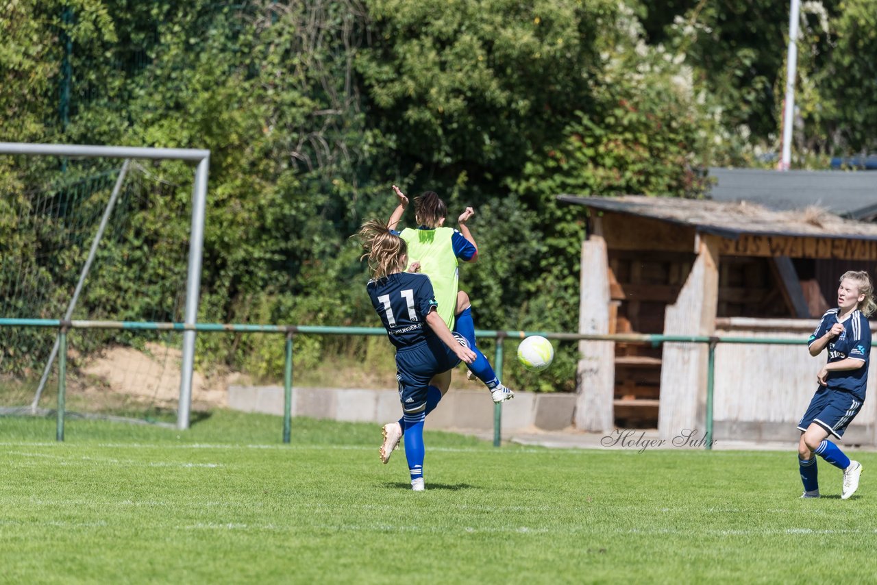 Bild 147 - B-Juniorinnen VfL Pinneberg - HSV : Ergebnis: 1:4